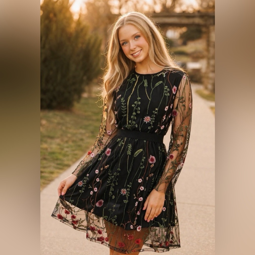 Milumia Women's Floral Embroidery Mesh Round Neck Party Dress Black Small SKU 20